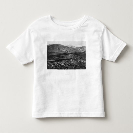 町7の空中写真 トドラーTシャツ (正面)