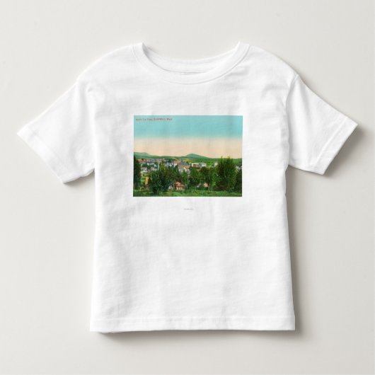 町9の空中写真 トドラーTシャツ (正面)