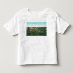 町、丘からのSonoma郡の空中写真 トドラーTシャツ