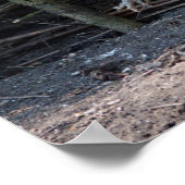 画像おもしろい付き鶏と鶏のミームおもしろいー ポスター (角)