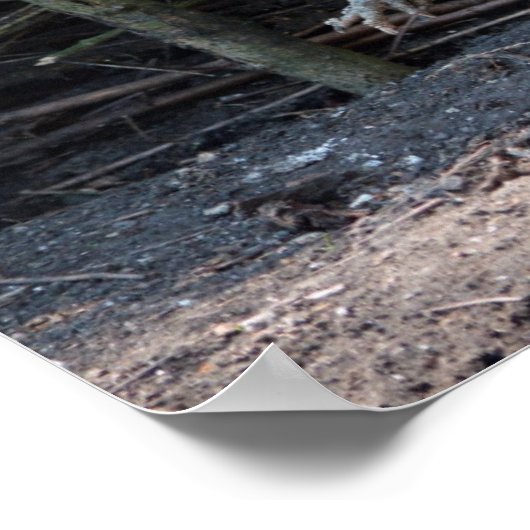 画像おもしろい付き鶏と鶏のミームおもしろいー ポスター (角)