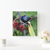 画像的なNZ Tuiの鳥 スクエア壁時計 (ホーム)