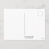 画期的なミルウォーキー郡裁判所 シーズンポストカード (裏面)