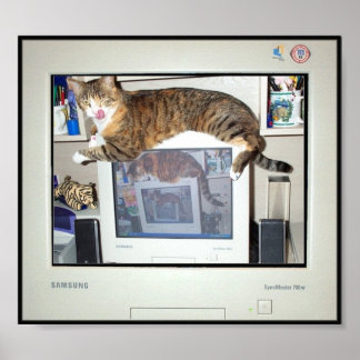 画面の保存プリント ポスター