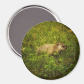 界磁磁石のグラウンドホッグ マグネット (正面/裏面)