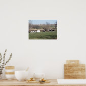. .畑で休む牛のポスター ポスター (キッチン)