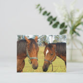 畑に二頭の茶色の馬と思慮深い馬 ポストカード (スタンド正面)