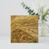 畑に実った小麦の穀粒。 収穫の季節がきた！ (スタンド正面)