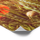 畑のケシを閉める。春は野花 ポスター (角)