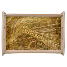 畑の小麦の粒。収穫時間だ！