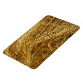 畑の小麦の粒。収穫時間だ！ マグネット (左側)