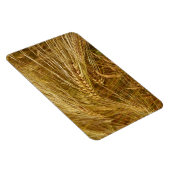 畑の小麦の粒。収穫時間だ！ マグネット (右側)