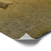 「畑の木#1」風景ポスター ポスター (角)