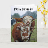 畑の牛 カード (黄色い花)