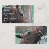 留められた暗い栗毛の馬の名刺 名刺 (正面/裏面)