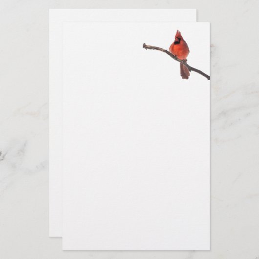 留静か疑問に思止（鳥）ショウジョウコウカンチョウ 便箋 (正面/裏面)