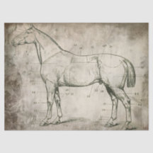 番号を付けられた馬