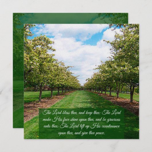 番号6:24-26 フラット カード (正面/裏面)