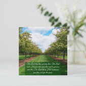 番号6:24-26 フラット カード (スタンド正面)