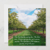 番号6:24-26 フラット カード (正面)