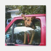 番犬! マグネット (正面)