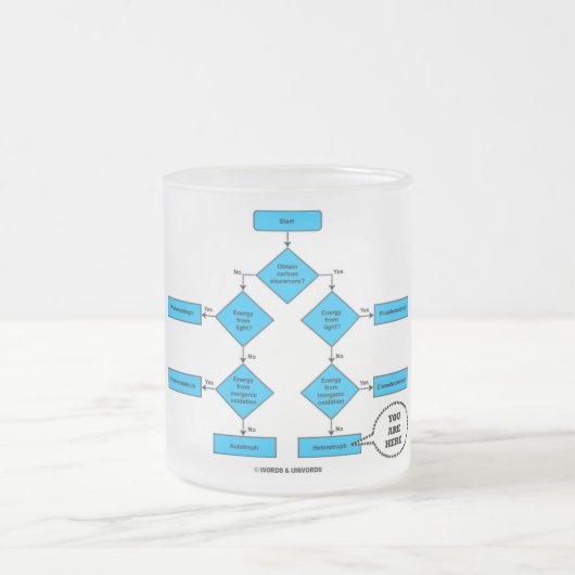 異向性フローチャートここにいる生物学のユーモア フロストグラスマグカップ (中央)