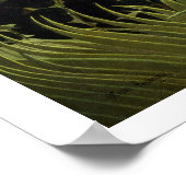 異国情景 ポスター (角)