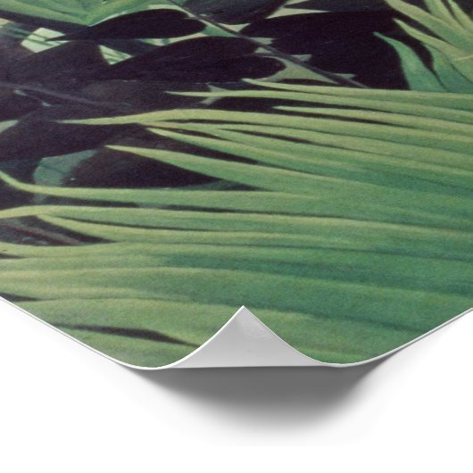 異国情景， 1910 ポスター (角)