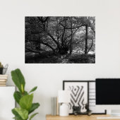 異常なツリー、ビュートパーク、カーディフ、ウェールズBW ポスター (ホームオフィス)