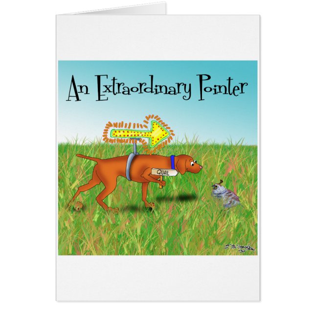 異常なポインター (正面)