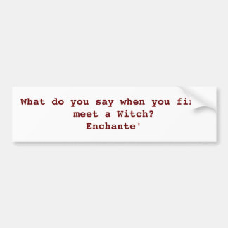 異教のなユーモアのバンパーステッカー バンパーステッカー