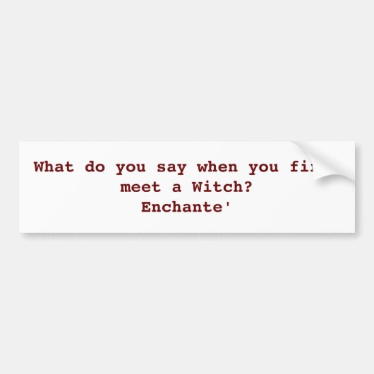 異教のなユーモアのバンパーステッカー バンパーステッカー (正面)