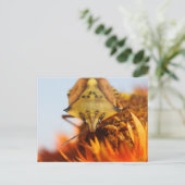 異翅目 ポストカード (スタンド正面)