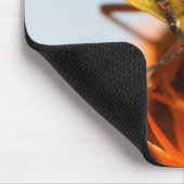 異翅目 マウスパッド (コーナー)