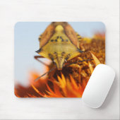 異翅目 マウスパッド (マウス)