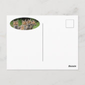 異考えなるキツネ ポストカード (裏面)