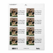 疑わしいドイツの羊飼い ラベル (フルシート)