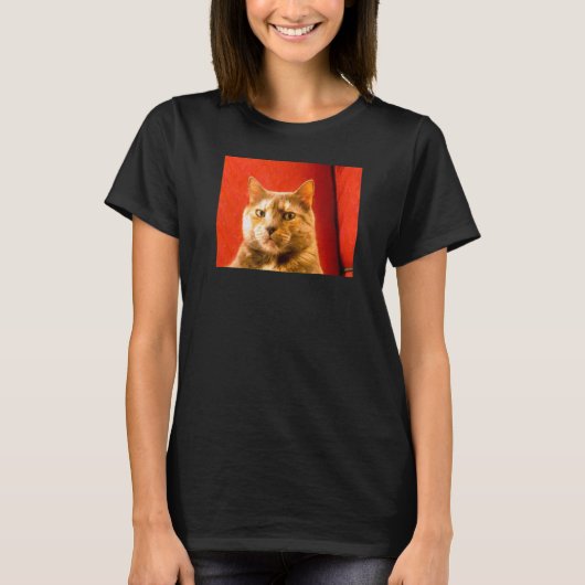 疑わしい猫ミーム Tシャツ (正面)