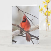 疑問に思グリーティン静かグカード(鳥)ショウジョウコウカンチョウ カード (黄色い花)