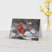 疑問に思グリーティン静かグカード(鳥)ショウジョウコウカンチョウ カード (黄色い花)