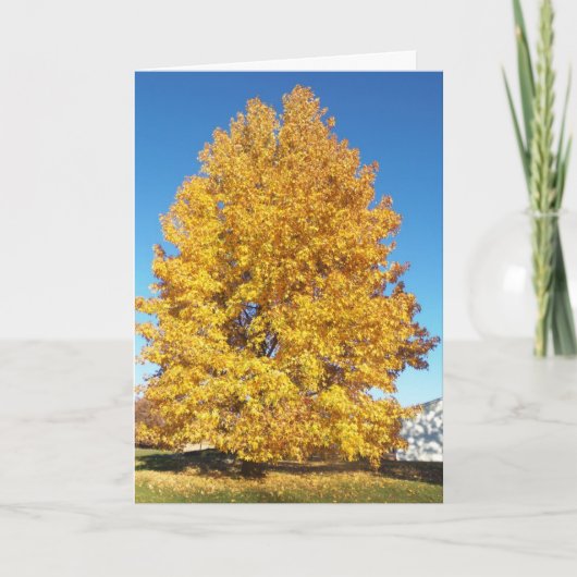 疑問に思創造 カード (正面)