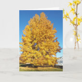 疑問に思創造 カード (黄色い花)