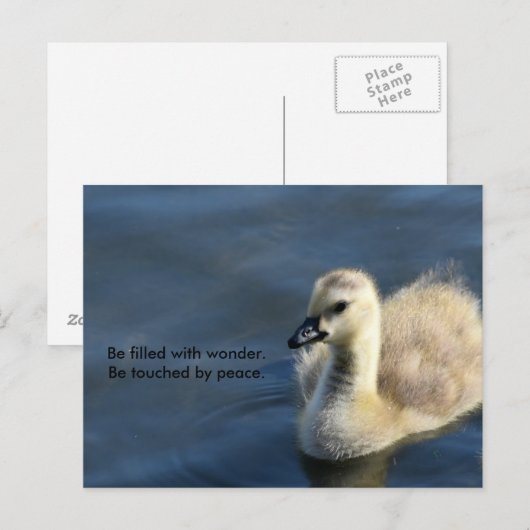 疑問に思平和 ポストカード (正面/裏面)