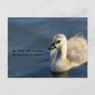 疑問に思平和 ポストカード