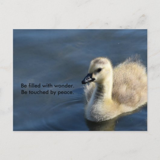 疑問に思平和 ポストカード (正面)