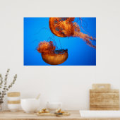 疑問に思自然 ポスター (キッチン)