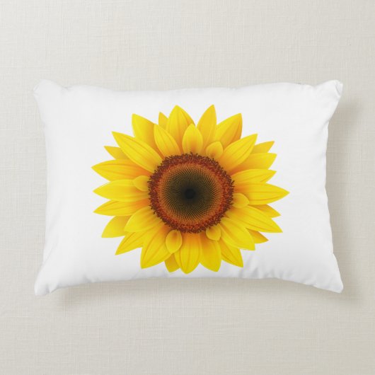 疑問に思 アクセントクッション (正面)