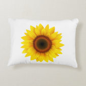 疑問に思 アクセントクッション (裏面)