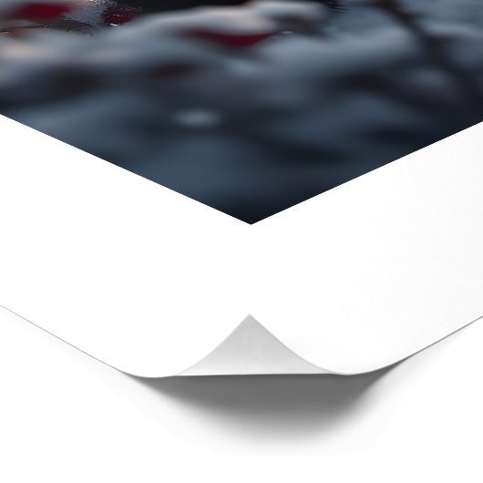 疑問に思 ポスター (コーナー)