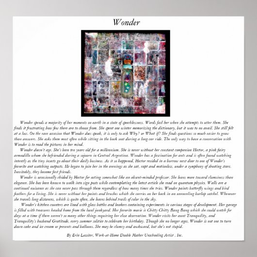 疑問に思 ポスター (正面)